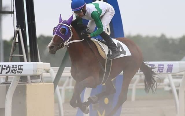 最後のトウカイテイオー産駒キセキノテイオー、デビュー戦は6着