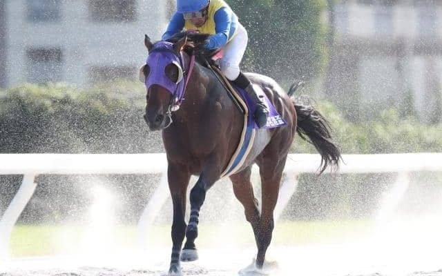 【名古屋・名港盃結果】ナムラマホーホが差し切り重賞初制覇