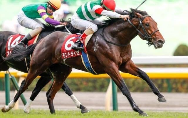 【アイビスSD出走馬・騎手確定】モントライゼ＆川田将雅、ライオンボス＆鮫島克駿など17頭