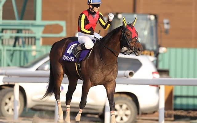 【浦和・プラチナC】重賞初Vアンティノウス矢野貴之騎手「このメンバーで結果を出せたことは、馬自身にとっても自信になった」