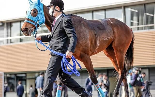 【クイーンS想定】テルツェットはC.ルメール騎手、ウインマイティーはM.デムーロ騎手