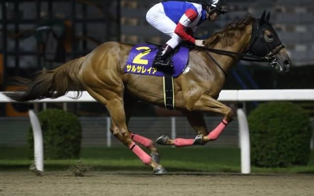 【ブリーダーズGC】サルサレイア、ネーロルチェンテ、ルナクレアなど地方選定馬が発表