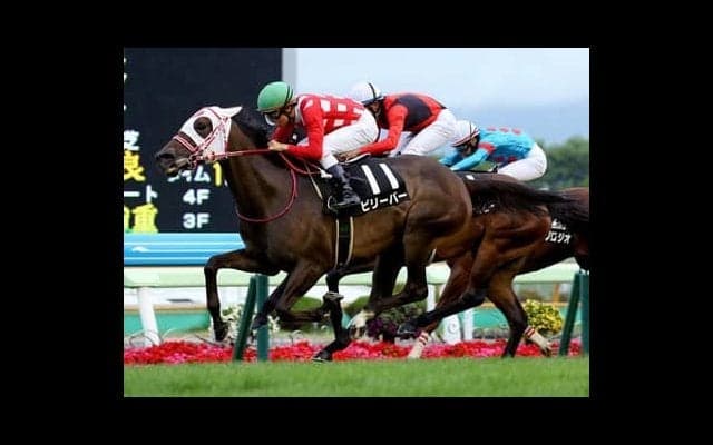 混戦アイビスＳＤは軽量３歳牝馬が優位。外枠引いた千直実績馬の巻き返しにも要注意