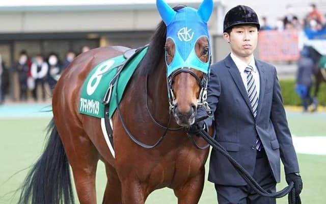 【JRA】アドマイヤジャスタが石坂公一厩舎に転厩、2020年函館記念を15番人気で制覇