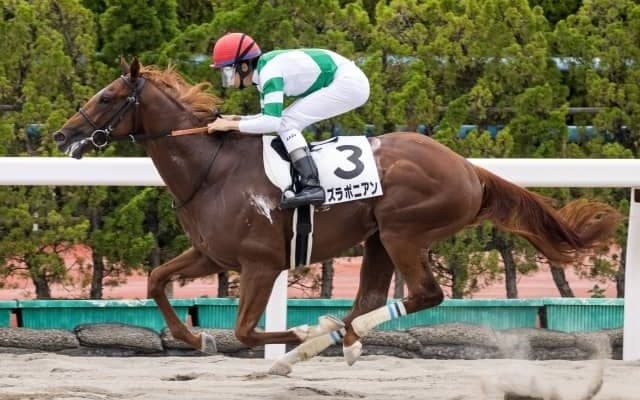 【函館5R新馬戦結果】カズラポニアンがレコードで圧勝