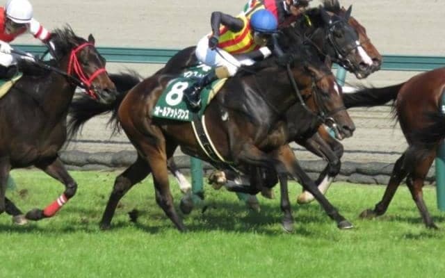 【WIN5予想】アイビスSDは基本的に前走好走馬が強い