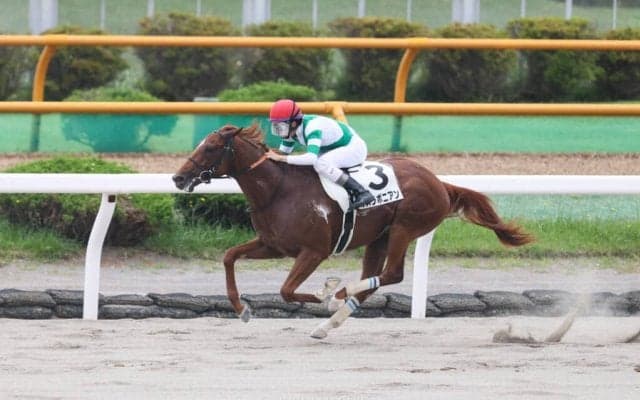 【新馬/函館5R】ヘニーヒューズ産駒 カズラポニアンがデビューV