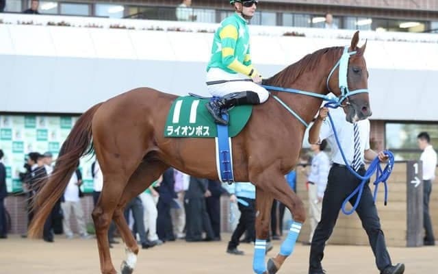 【本日の注目ポイント】夏の名物レース・アイビスSD