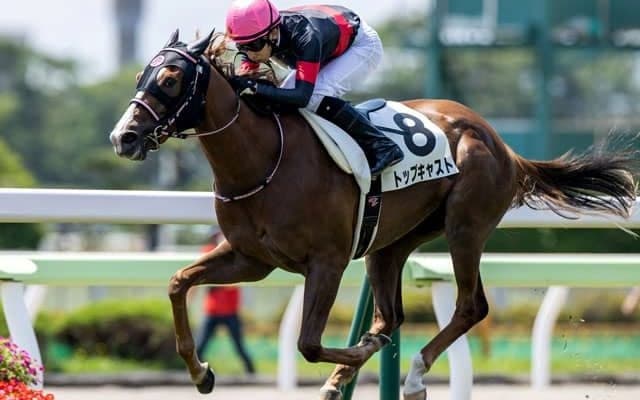 【函館5R新馬戦結果】トップキャストが逃げ切り快勝