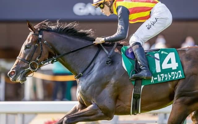 【勝負の分かれ目 アイビスSD】テン乗りの石川騎手の好騎乗でオールアットワンスが重賞初制覇