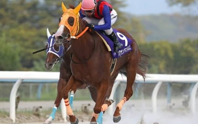 【金沢・北国王冠】ハクサンアマゾネスが断然人気に応え重賞3連勝