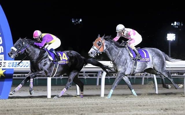 【クラスターC】ヒロシゲゴールド、リュウノユキナ、マテラスカイなどJRA選定馬が発表