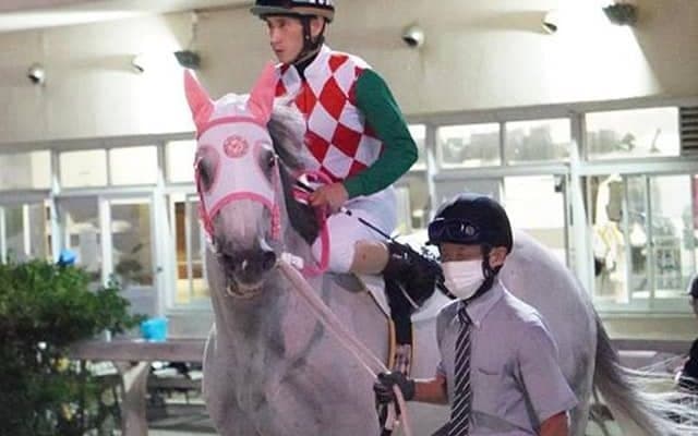 南関東で最年長！ 10歳の芦毛馬・リッカルドが放牧休養を経て1年7か月振りの勝利
