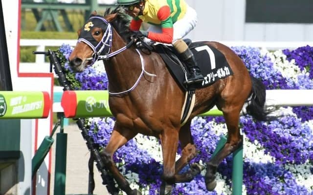 【クイーンS予想】人気の落ちる今回が狙い目のリベンジ馬 函館開催で難しいレースをAIが予想/JRA重賞レース展望