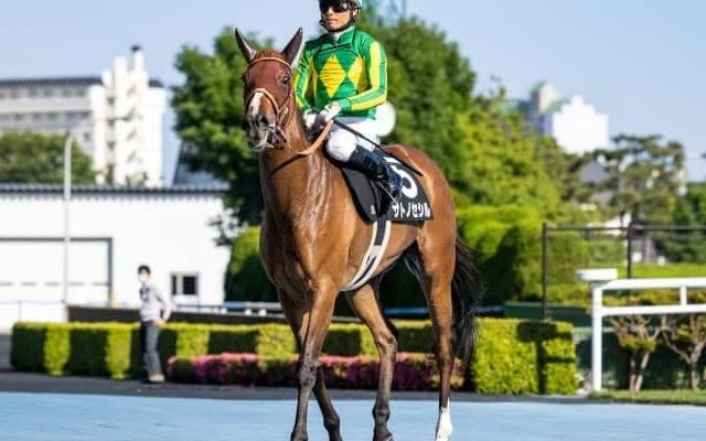 【クイーンS展望】今年は函館開催の牝馬重賞、あの穴馬に期待