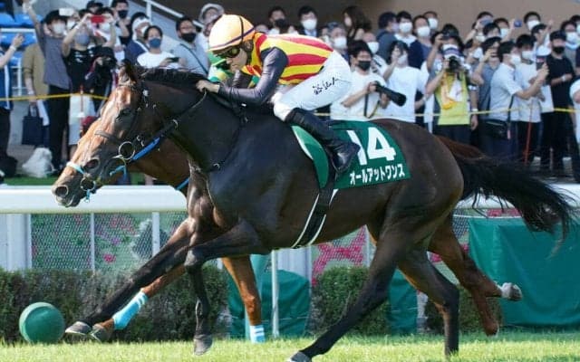 【アイビスSD】オールアットワンスが重賞初制覇