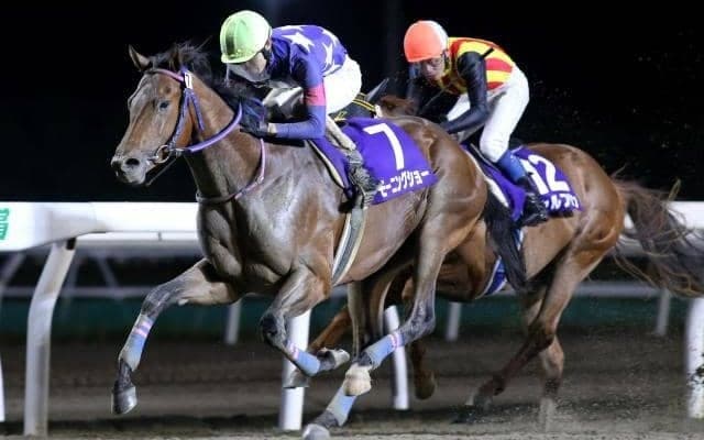 【門別競馬情報】将来の大活躍が期待される逸材ぞろい！距離未経験馬も多く、波乱の可能性も「第15回ブリーダーズゴールドジュニアカップH1」/地方競馬情報