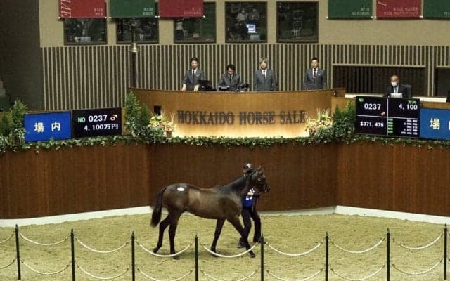 【セレクションセール】シルバーステート産駒が4100万円