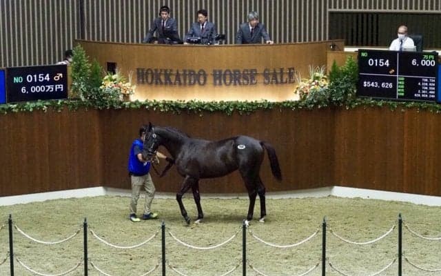 【セレクションセール】売り上げレコードを更新！初の40億円超を記録で絶好調