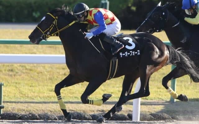 【門別競馬情報】門別初勝利なるかテーオーフォース！1700mは連対率100％バンカブルスターの巻き返しにも注目「サトノダイヤモンド・プレミアム」/地方競馬情報
