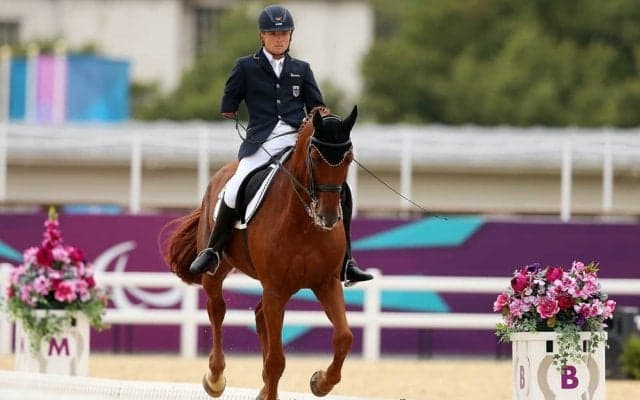スポーツが苦手な人も観たくなる、優雅な「馬のバレエ」とは