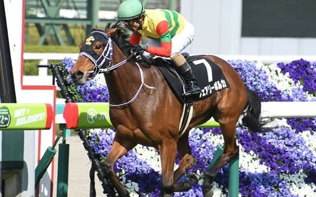 【AI予想】本質的には荒れやすいレース？ クイーンSで優勢な馬の特徴とは