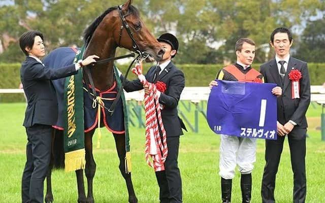 木村厩舎から岩戸厩舎への転厩馬一覧　ステルヴィオ、オーソリティなど67頭