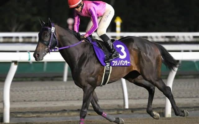 【門別競馬情報】5馬身差圧勝で重賞初Vシャルフジン、大目標はJBC2歳優駿JpnIII！今夜メイン11Rはフジノパンサー3連勝なるかに注目「エピファネイア・プレミアム」/地方競馬情報