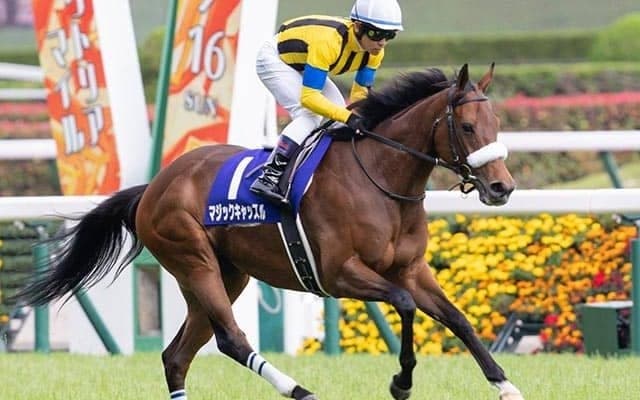 【クイーンS】出馬確定　マジックキャッスル＆戸崎圭太、テルツェット＆C.ルメールなど12頭