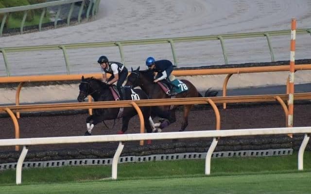 【JRA新馬戦】好素材ルージュスティリアなどがデビュー