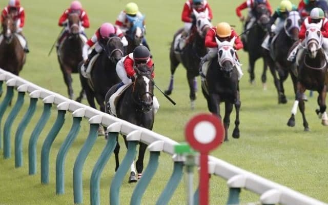 1レースに大挙10頭出し　日曜新潟2Rで夏恒例の“ミルファーム”祭り