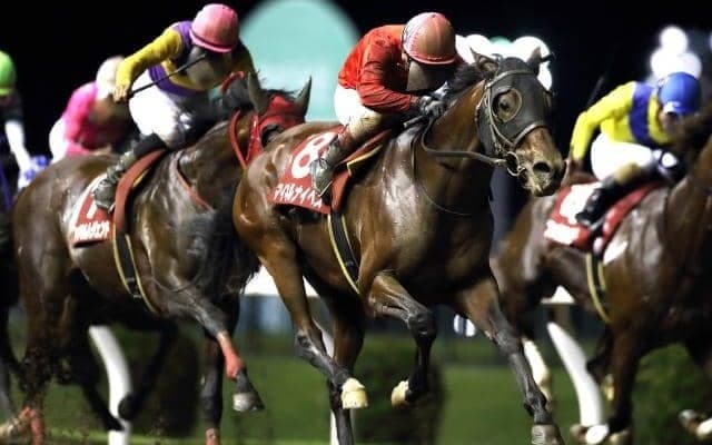 【川崎・スパーキングサマーチャレンジ結果】山崎誠士騎手騎乗の3番人気マイネルナイペスが勝利