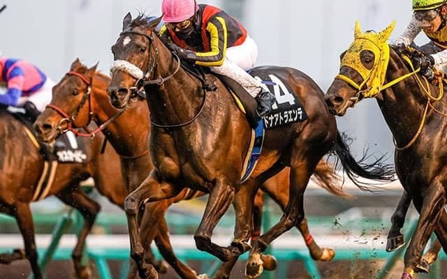 【クイーンS】良血馬ドナアトラエンテ、重賞初Vへ虎視眈々　川田将雅騎手はJRA全場重賞制覇を狙う