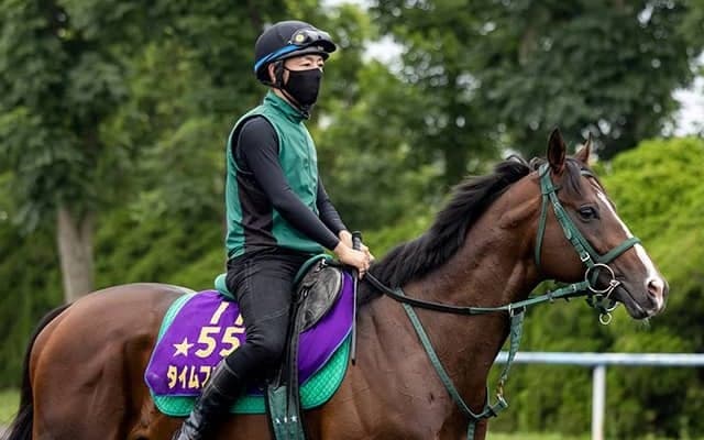 【エルムS想定】タイムフライヤーは武豊騎手、ケイティブレイブは団野大成騎手