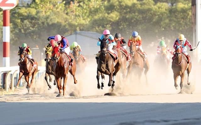 金沢競馬で新型コロナのクラスター発生、8月10日まで開催中止に　本日までに8名感染確認