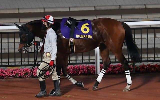 【盛岡・せきれい賞】ロードクエストは5枠6番、マツリダスティールは7枠9番