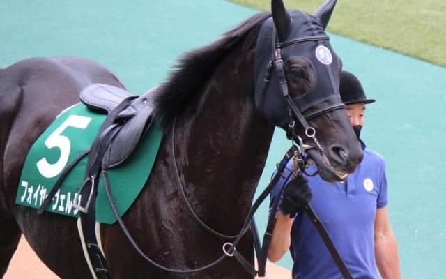 【本日の注目ポイント】重賞は新潟JS　田辺騎手らは区切りの勝利までわずか