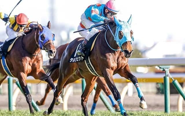 【クイーンS】テルツェットはC.ルメール騎手との初コンビ　秋の飛躍に向けて重賞2勝目を狙う