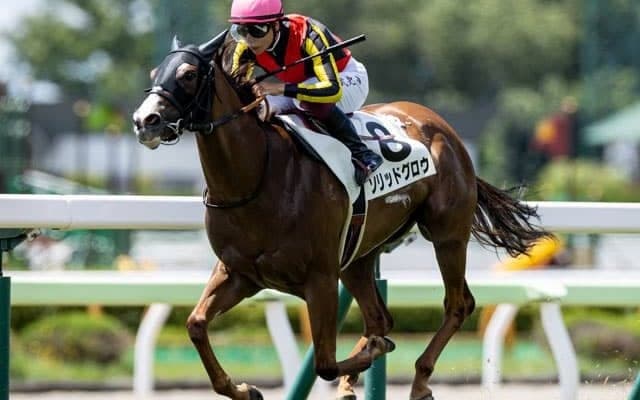 【函館5R新馬戦結果】ソリッドグロウが7馬身差で圧勝