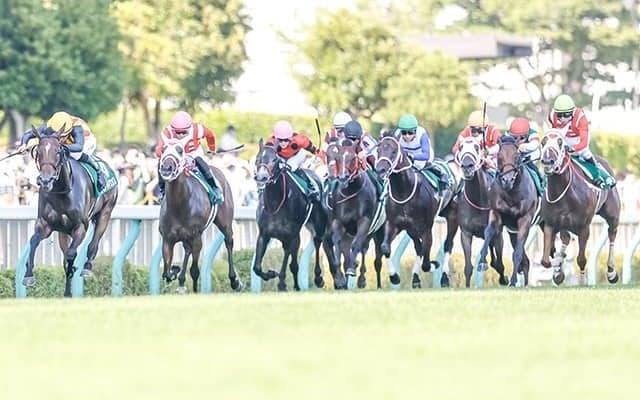 【日曜新潟2R】ミルファーム所有馬10頭出し　2・3・5・7枠が染め分け帽に
