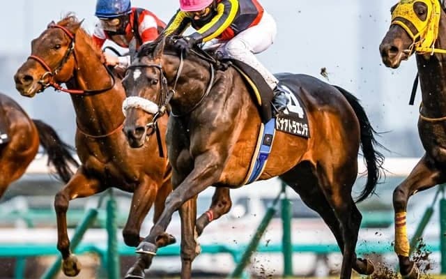 【クイーンS予想】11戦中10戦で3着内の人気馬を消去！ココだから期待値が低い種牡馬とは？/JRAレース展望