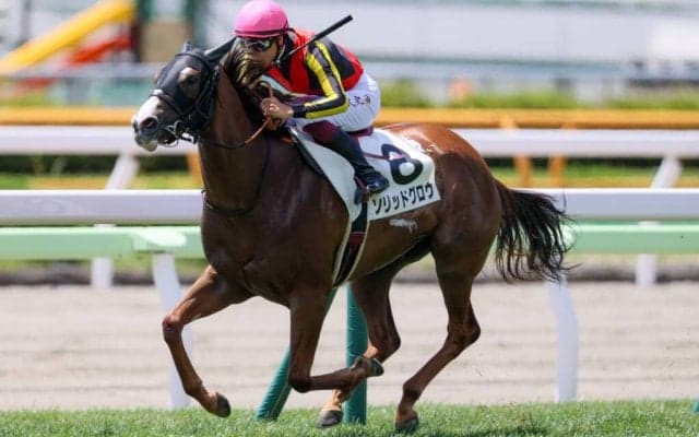 【新馬/函館5R】モントライゼ全妹 ソリットグロウがデビューV