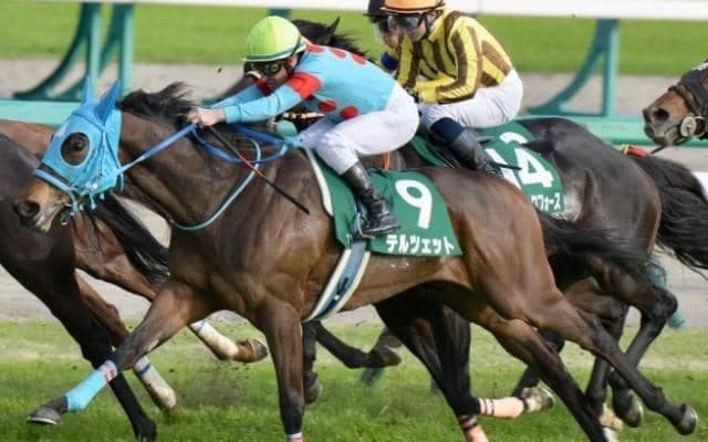 【本日の注目ポイント】夏の牝馬重賞・クイーンS