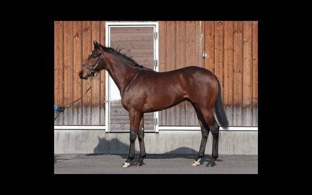 陣営が高評価。ダンテスヴューは「兄よりディープっぽい。キレる脚を使えそう」