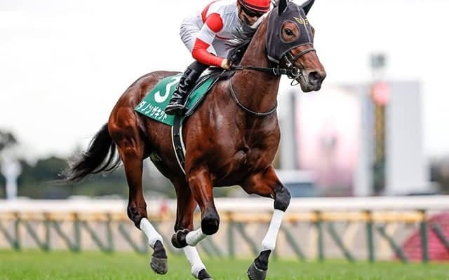 【JRA】秋季競馬番組が決定　東スポ杯2歳SがGII昇格、ホープフルSは12月28日(火)