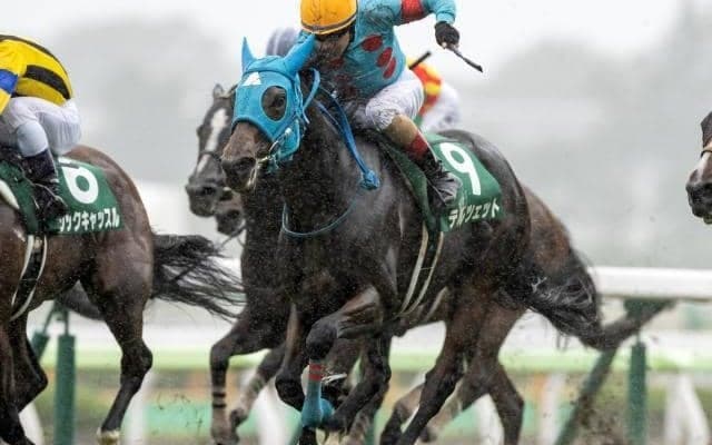 【クイーンS結果】テルツェットが直線一気で差し切りV！重賞2勝目