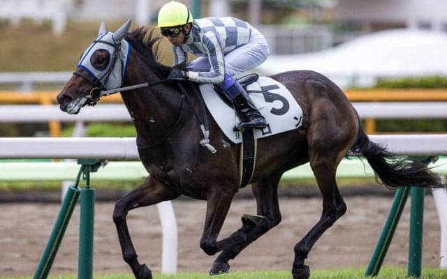 【新馬/函館5R】武豊 ロンがデビュー戦を快勝