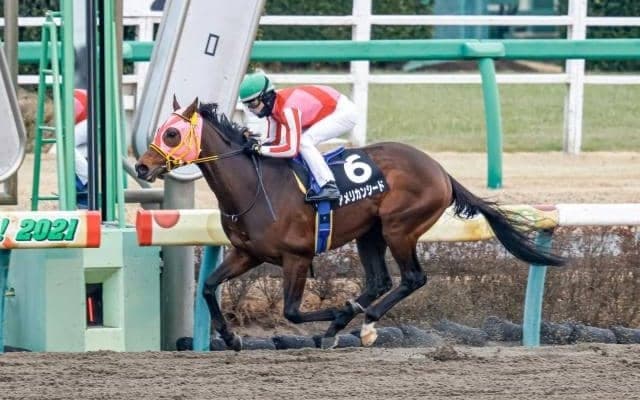 ダート重賞のエルムSとレパードS/今週の競馬界の見どころ