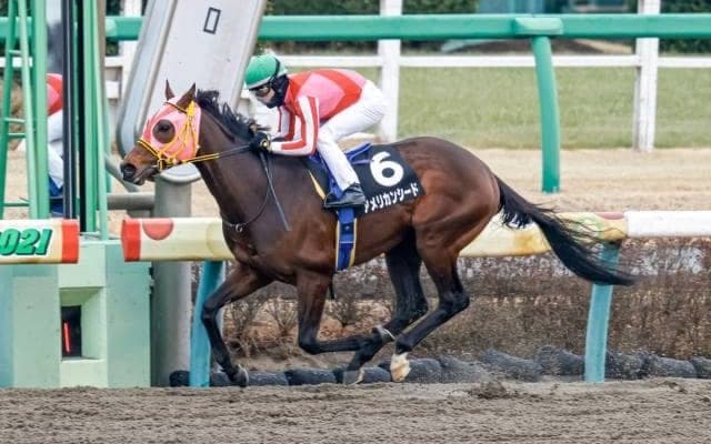 【エルムS見どころ】アメリカンシードの重賞初制覇なるか