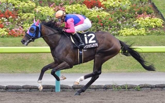 【レパードS見どころ】前走圧勝のメイショウムラクモが連勝を狙う